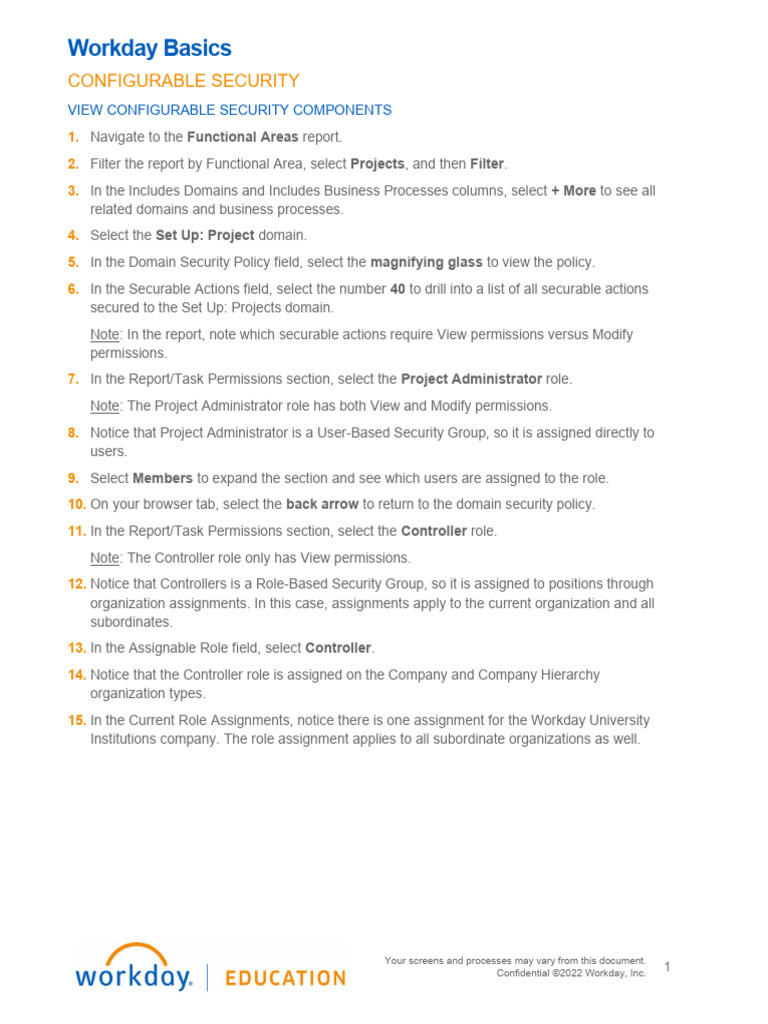 Configurable Security in Workday | PDF