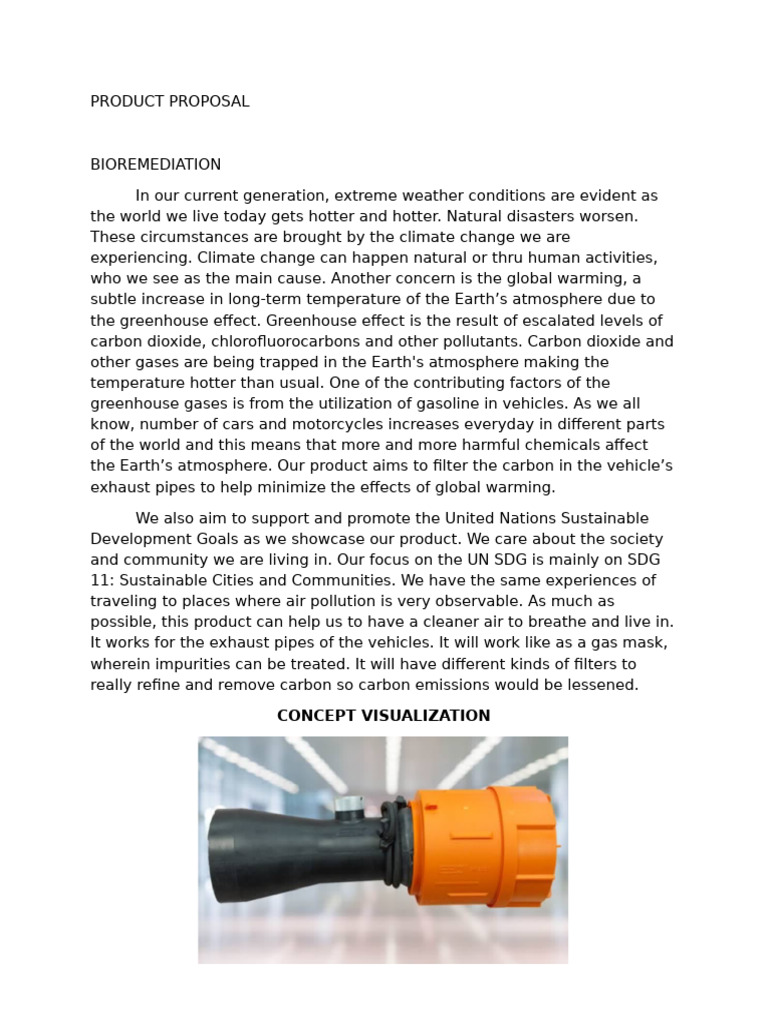 Carbon Filter for Vehicle Emissions | PDF | Climate Change | Greenhouse ...