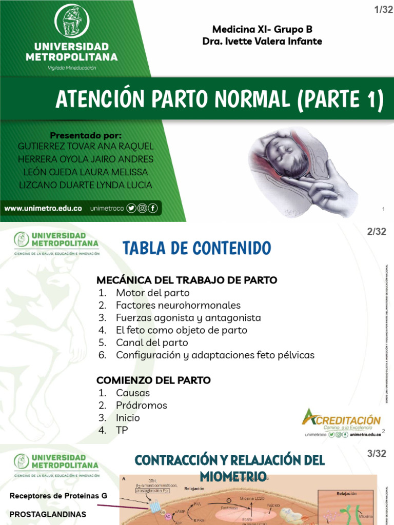 Atencion de Parto Normal Parte 1 | PDF | Parto | Pelvis