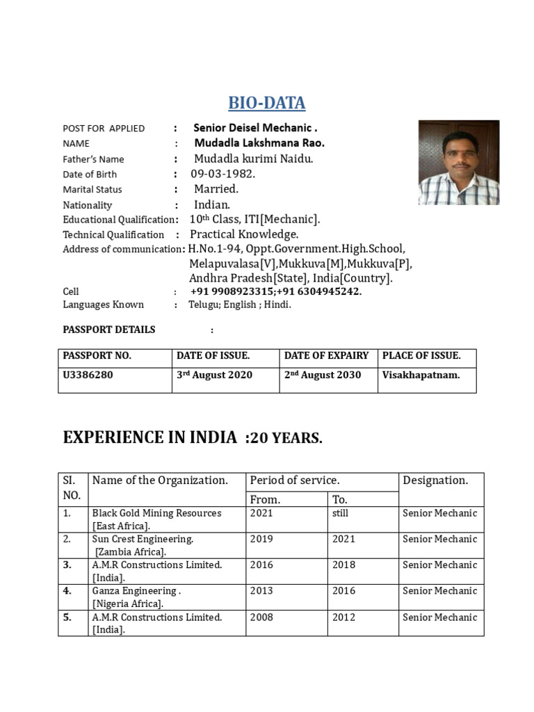 Senior Diesel Mechanic Bio-Data | PDF