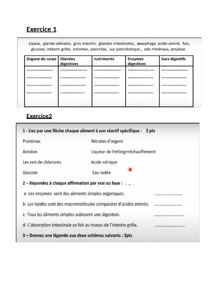 Exercice 1 | PDF