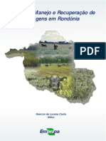 Formação, Manejo e Recuperação de Pastagens em Rondônia