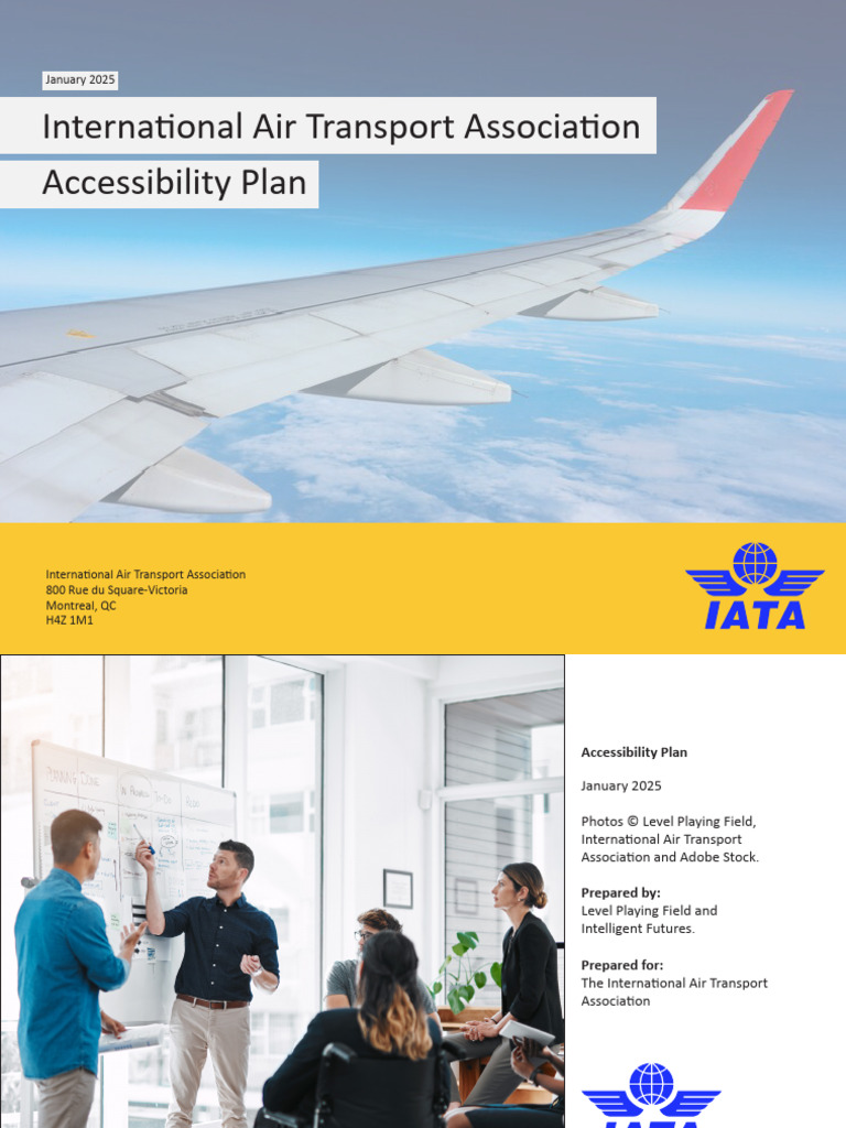 Iata Accessibility Plan | PDF