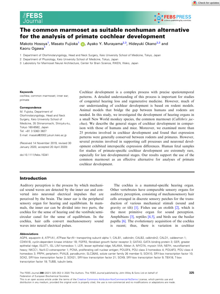Hosoya2020 - The Common Marmoset As Suitable Nonhuman Alternative For ...
