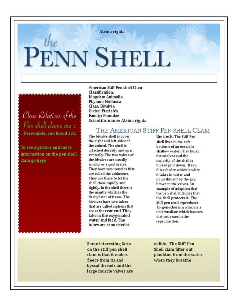 Pen Shell | PDF | Bivalvia | Molluscs