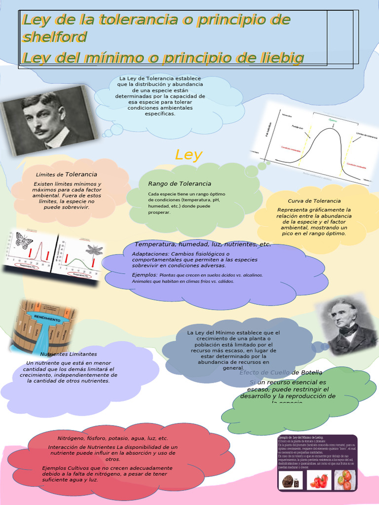 Infografia Pdf Nutrientes Entorno Natural