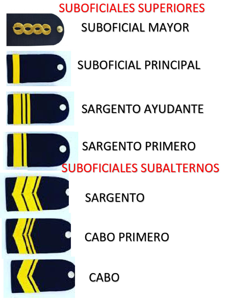 Jerarquías de Suboficiales en Policía | PDF