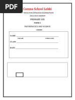 PDF Document
