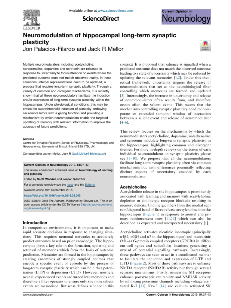 Neuromodulation in Hippocampal Plasticity | PDF | Long Term ...