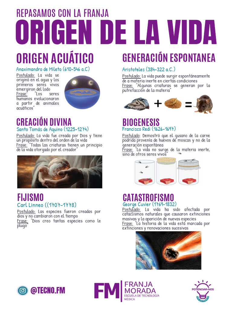 Teorías sobre el Origen de la Vida | PDF | Evolución | Biología