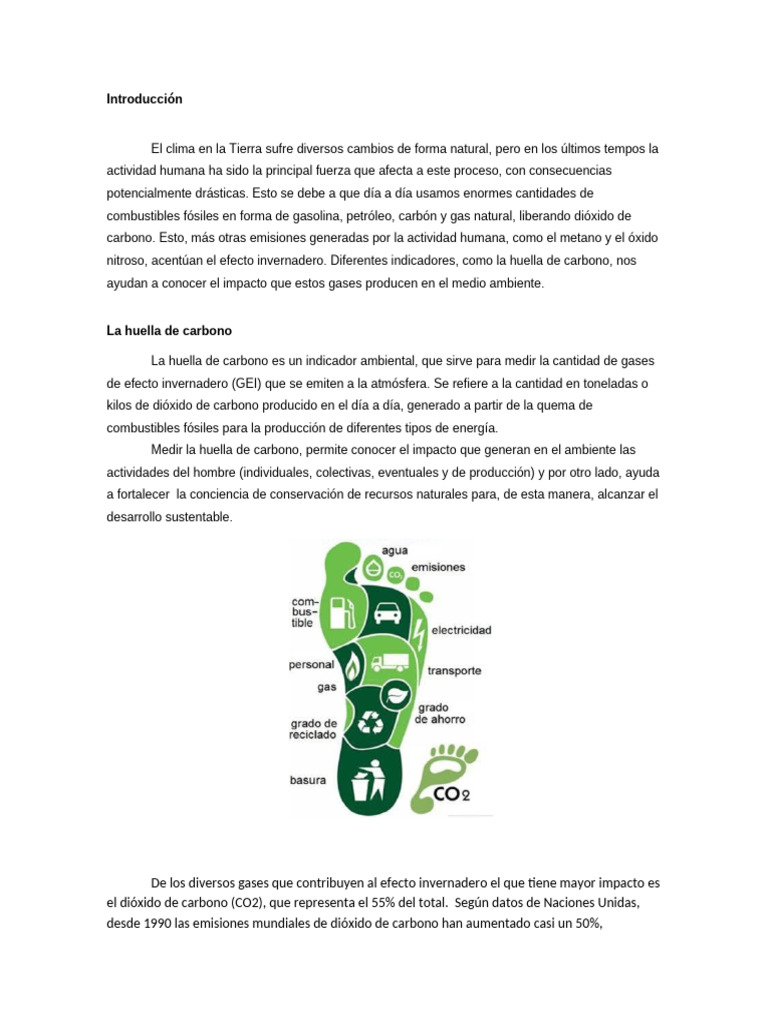 Cómo lograr huella de carbono cero | PDF | Gases de efecto invernadero ...