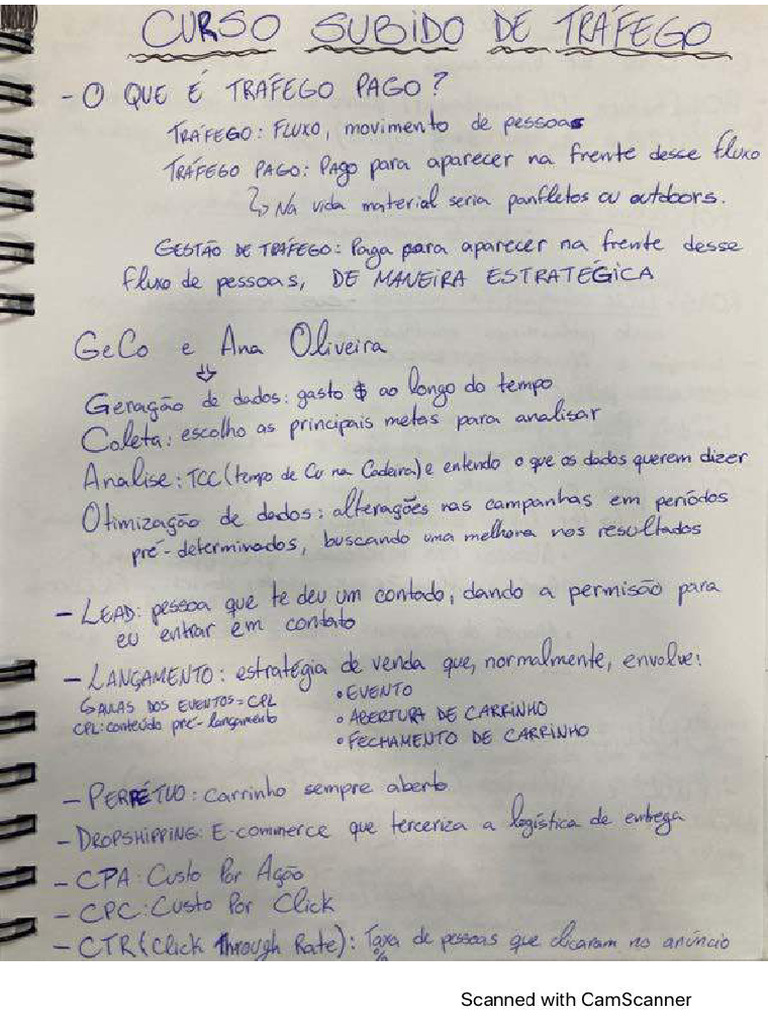 Resumo Curso Subido de Tráfego | PDF