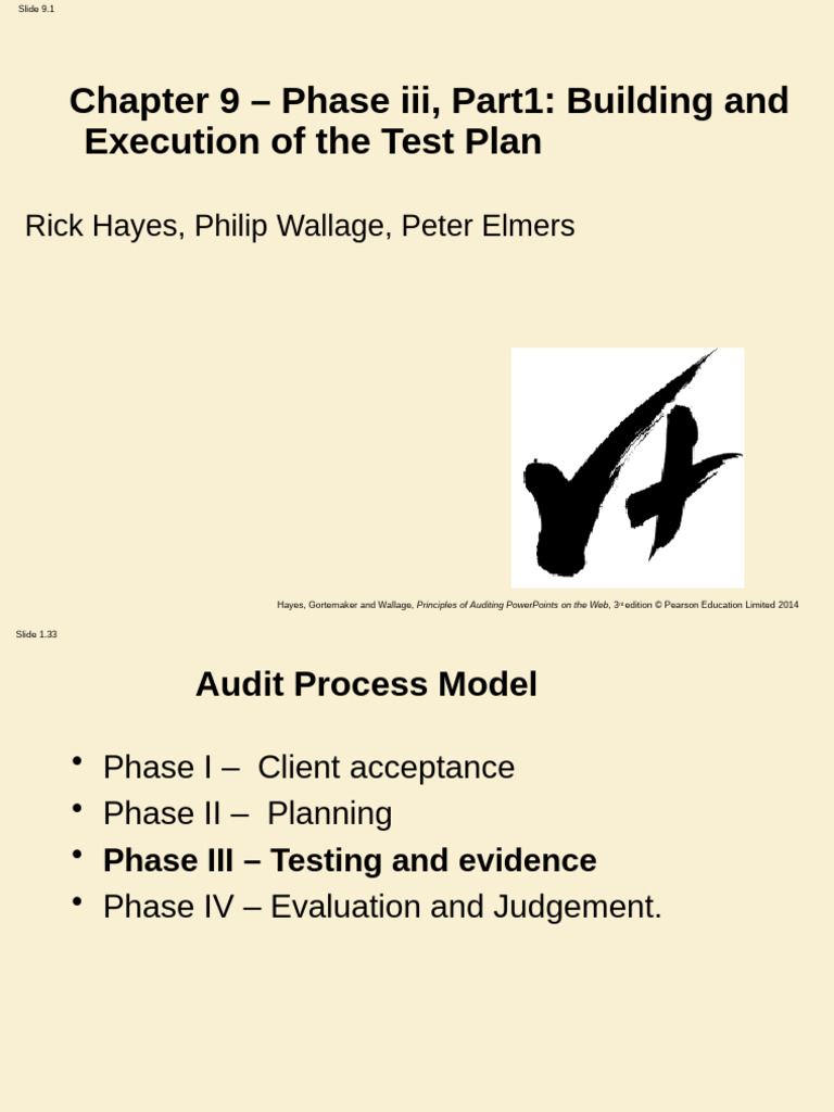 Test Plan Execution in Auditing | PDF | Audit
