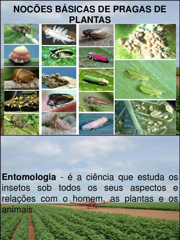 Controle de Pragas | PDF | Controle Biológico de Pragas | Vírus