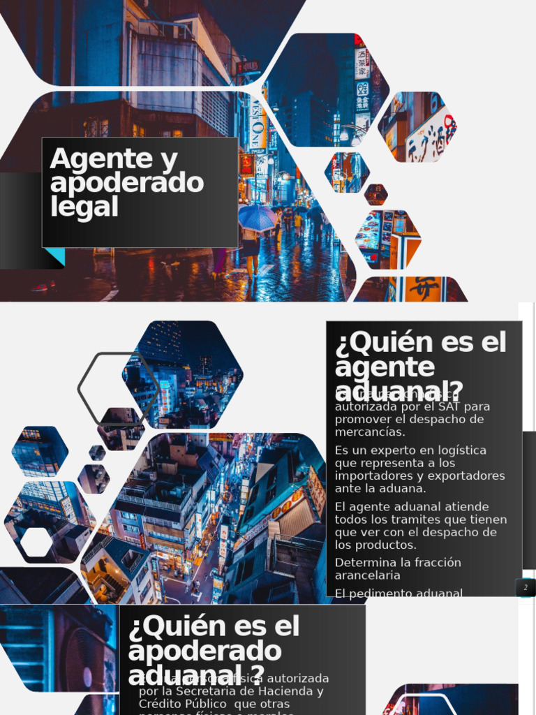 Agente y apoderado legal | PDF | aduana | Gobierno