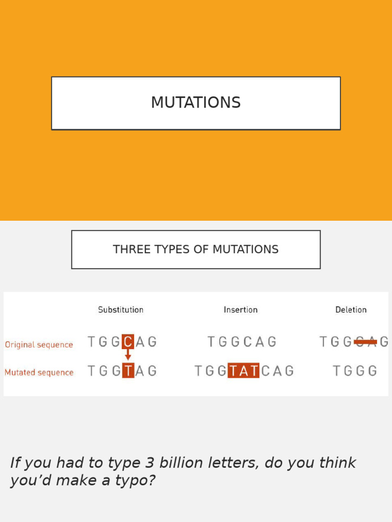 Mutations and Genetic Disorders | PDF | Point Mutation | Mutation