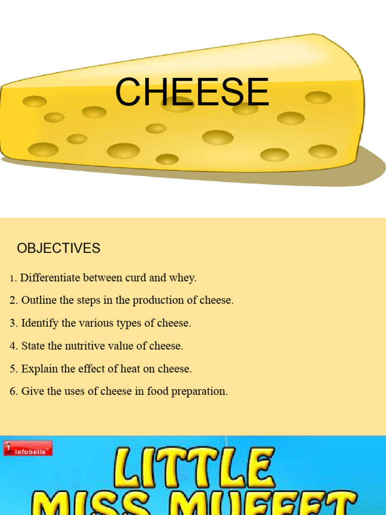 Cheese Production and Uses Guide | PDF | Cheese | Milk