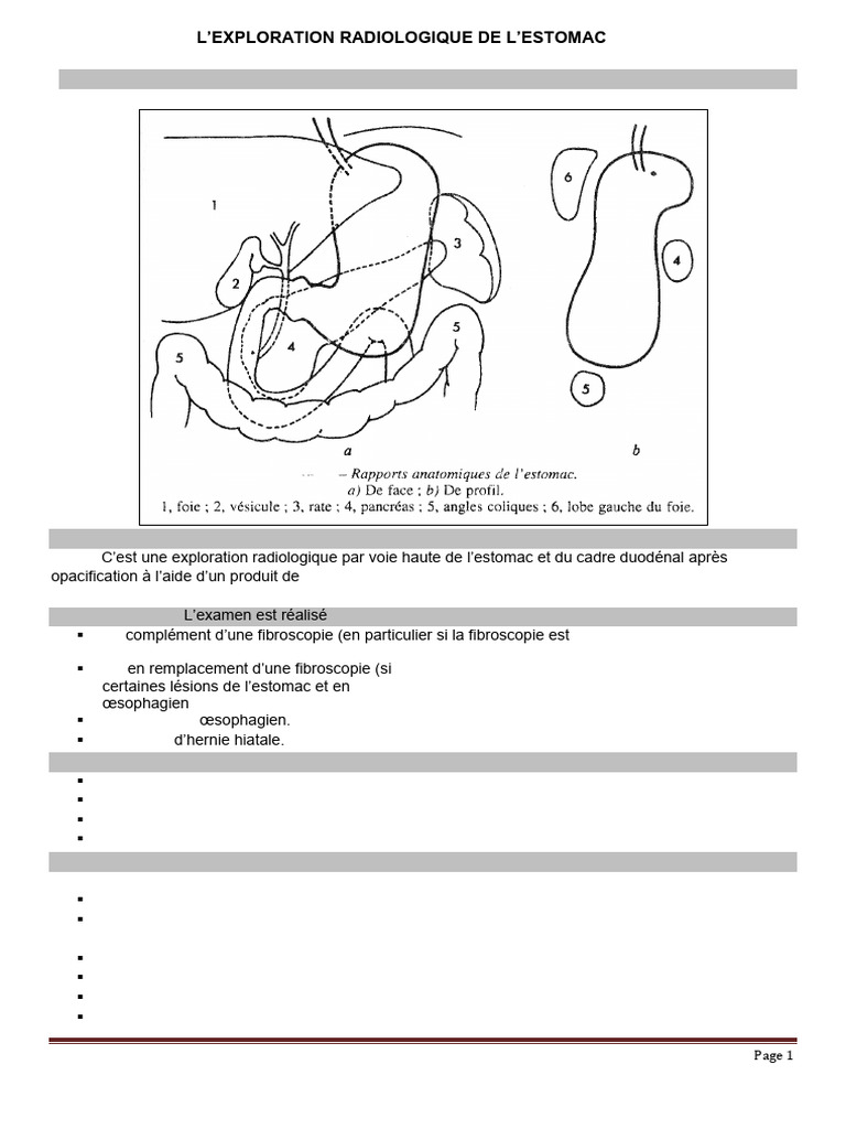 Exploration radiologique de l'estomac | PDF | Estomac | Endoscopie