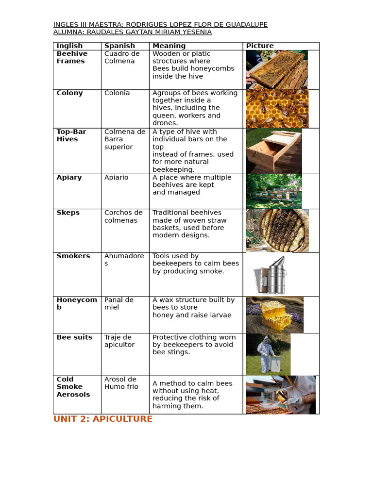 Apiculture Basics and Bee Terminology | PDF
