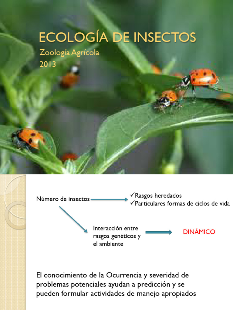 Ecología de Insectos | PDF | Ecología | Ecosistema