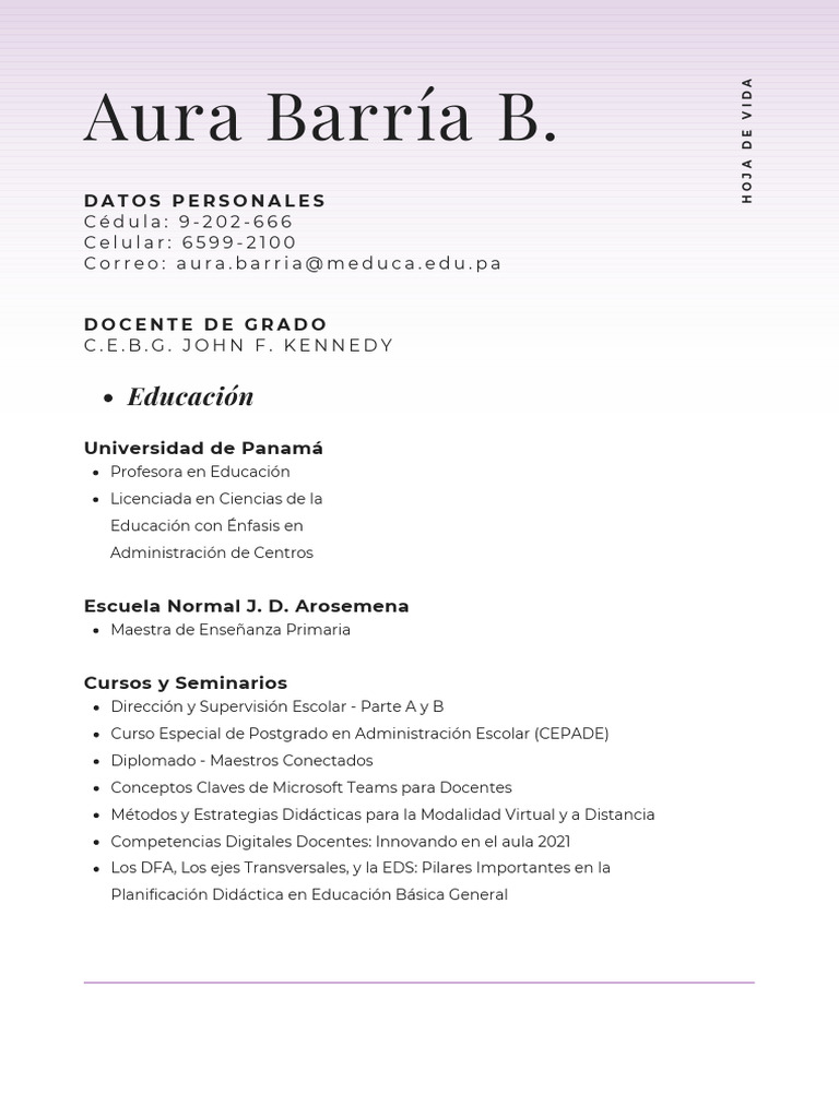 Perfil Profesional de Aura Barría B. | PDF