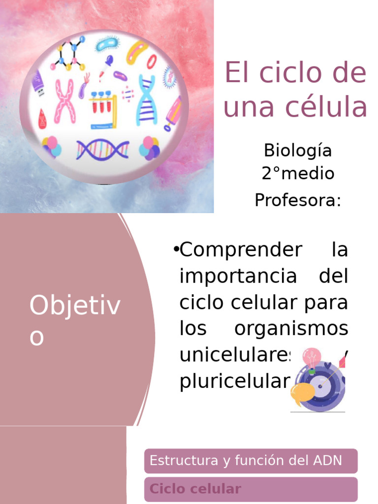 El Ciclo de Una Célula 2 Medio | PDF | Adn | Cromosoma