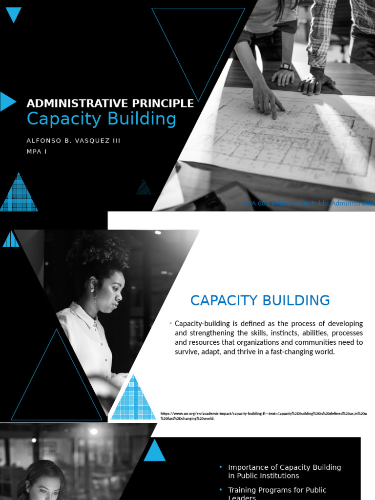 Capacity Building in Public Administration | PDF | Capacity Building ...