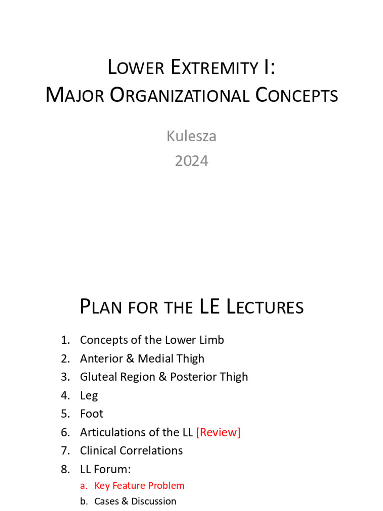 01 Concepts of The Lower Limb Student | PDF | Human Leg | Human Anatomy