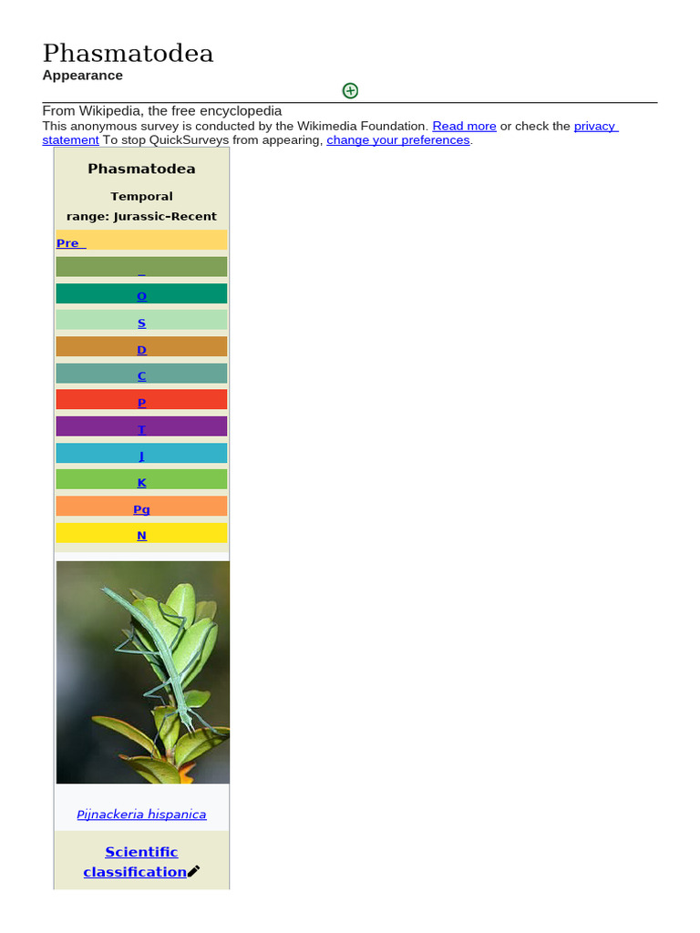 Phasmatodea: Stick Insects Overview | PDF | Zoology | Insects