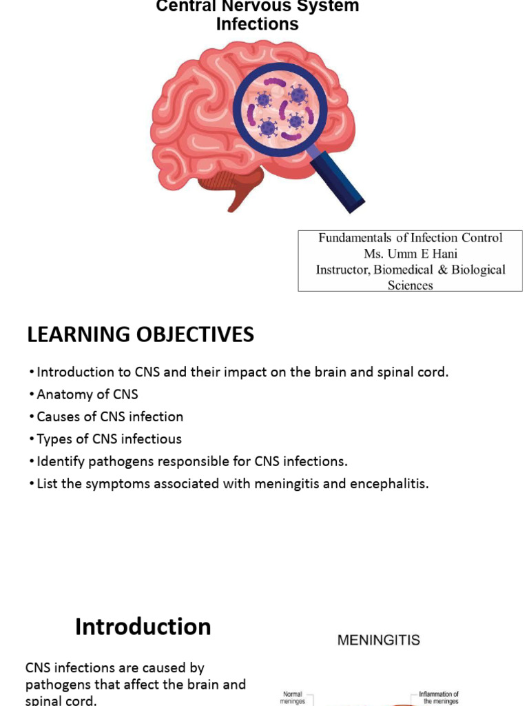 Lecture 11-CNS Infections | PDF | Meningitis | Pathogen