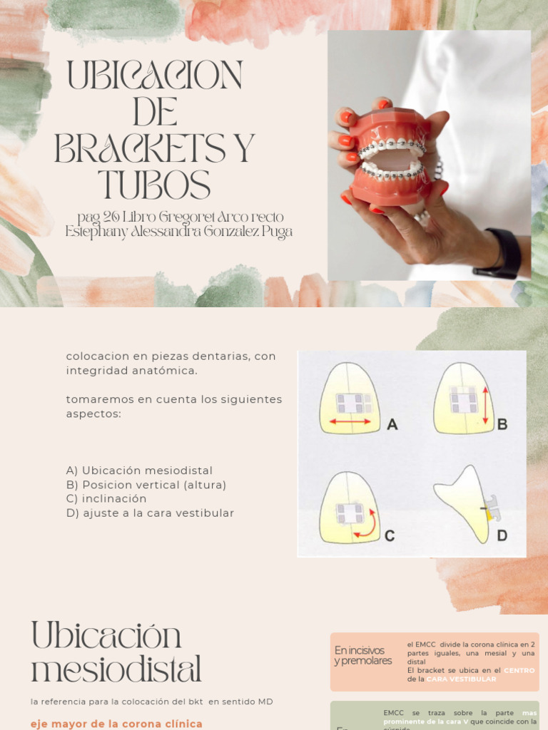 Ubicación de Brackets Dentales | PDF | Ramas de Odontología | Anatomia ...