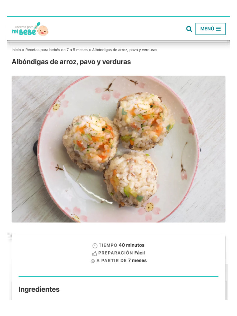 alb-ndigas-de-arroz-y-pavo-para-beb-s-pdf-bola-de-masa-hervida