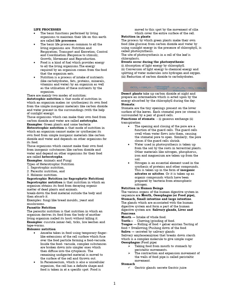 Overview of Life Processes in Organisms | PDF | Heart | Atrium (Heart)