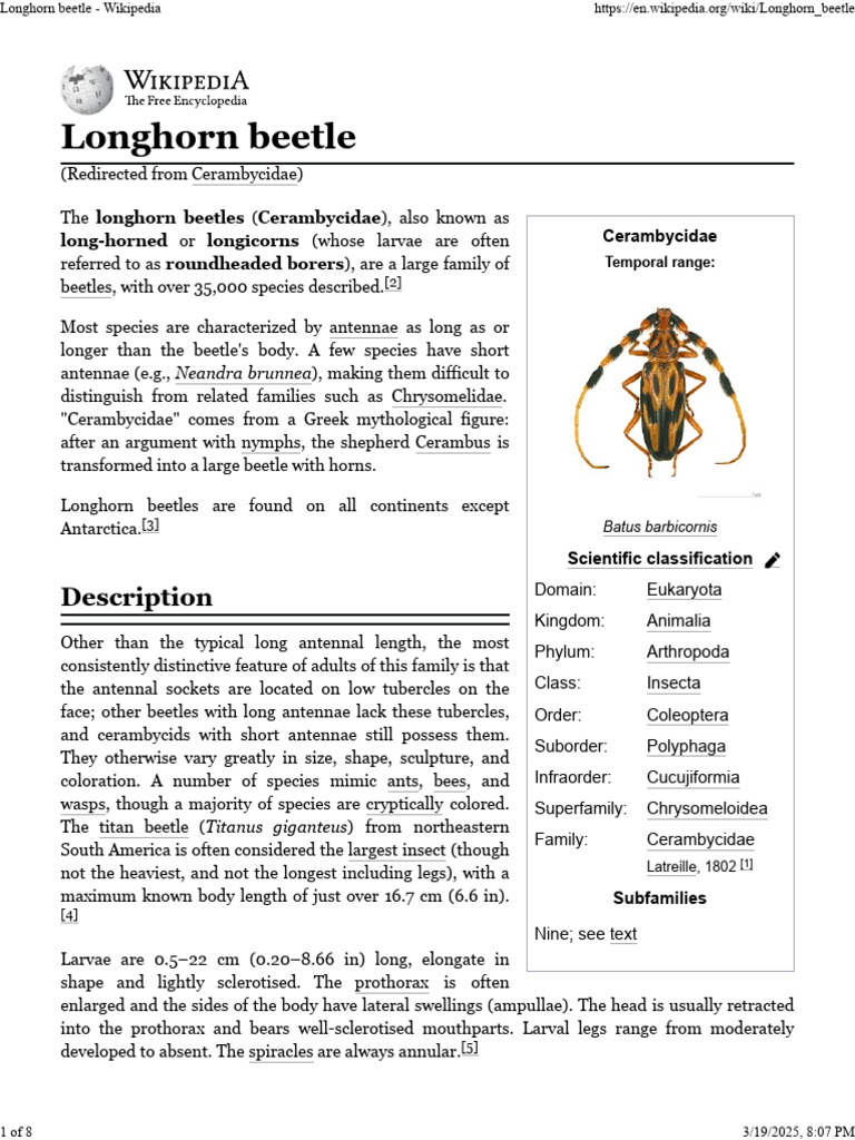 Longhorn Beetle Species Overview | PDF | Insects