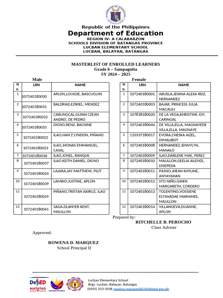 Grade 6 Learner Masterlist 2024-2025 | PDF
