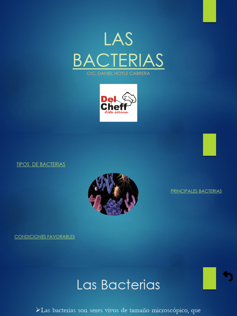 Tipos y Efectos de las Bacterias | PDF | Alimentos | Las bacterias