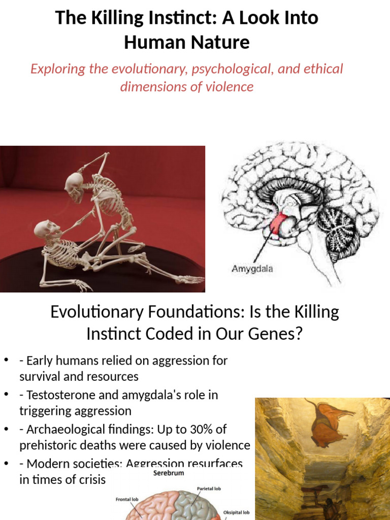 Killing Instinct Presentation | PDF