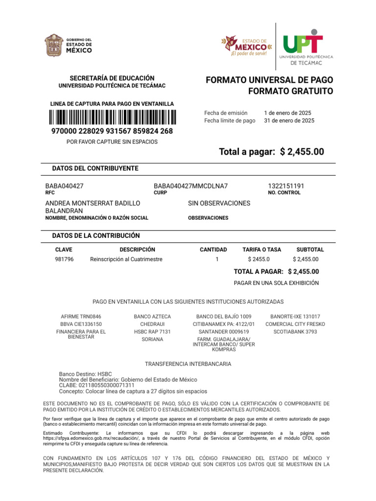 Comprobante de Pago en Línea Edomex | PDF | Economias | Finanzas personales