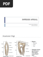 Download INFEKSI APIKAL by ocet290388 SN84129701 doc pdf