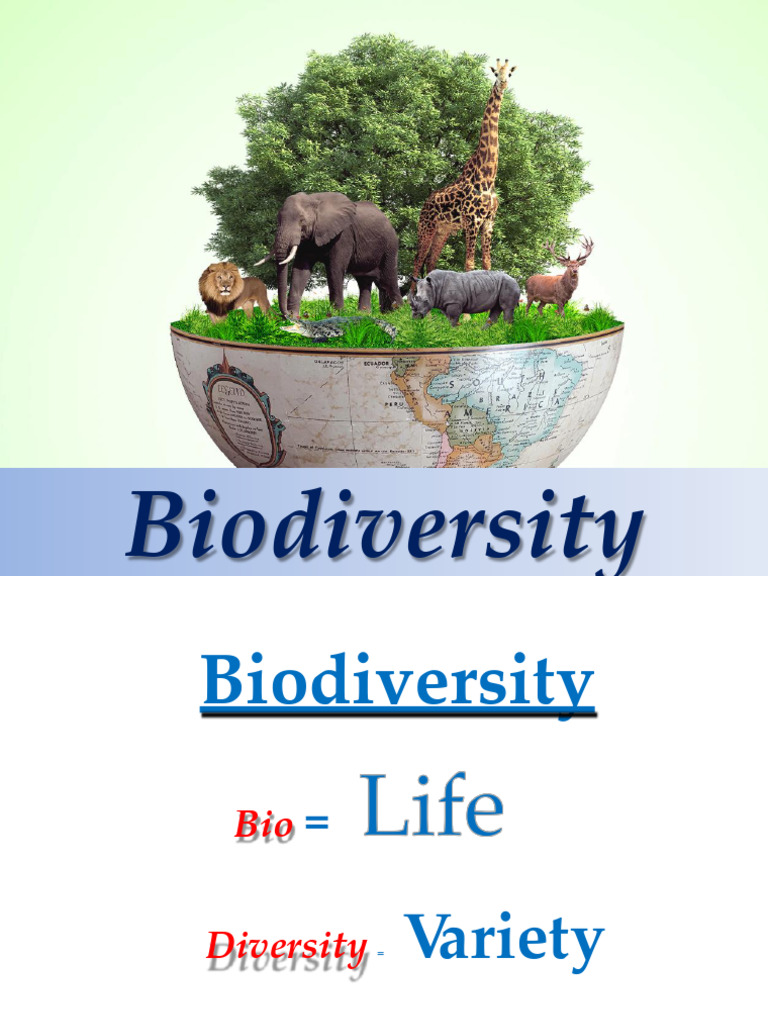 Understanding Biodiversity in India | PDF | Habitat Destruction ...