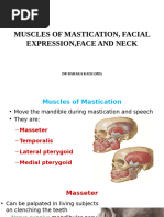 Lateral View of Facial Muscles | PDF | Soft Tissue | Human Anatomy