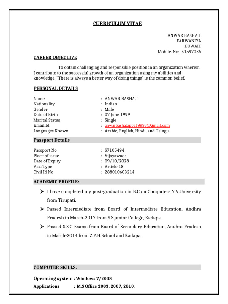 Anwar Basha's Professional CV | PDF