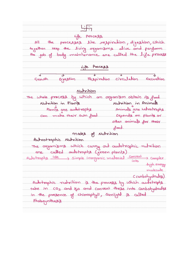 Class Note 5 | PDF