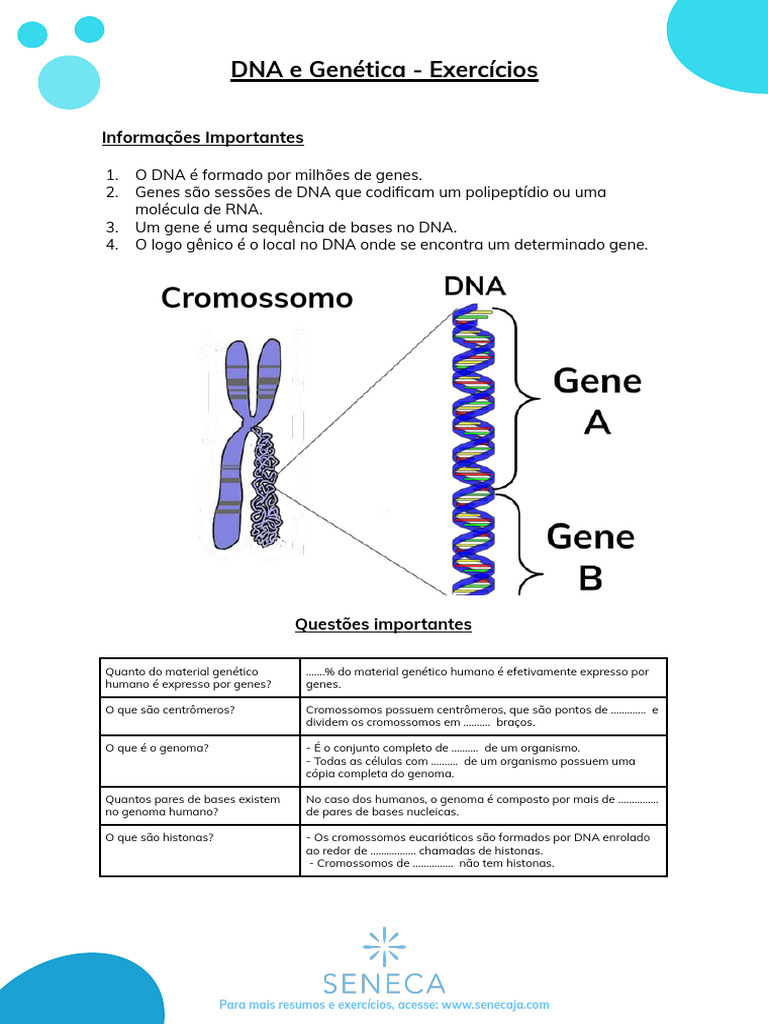 Exercícios sobre DNA e Genética | PDF