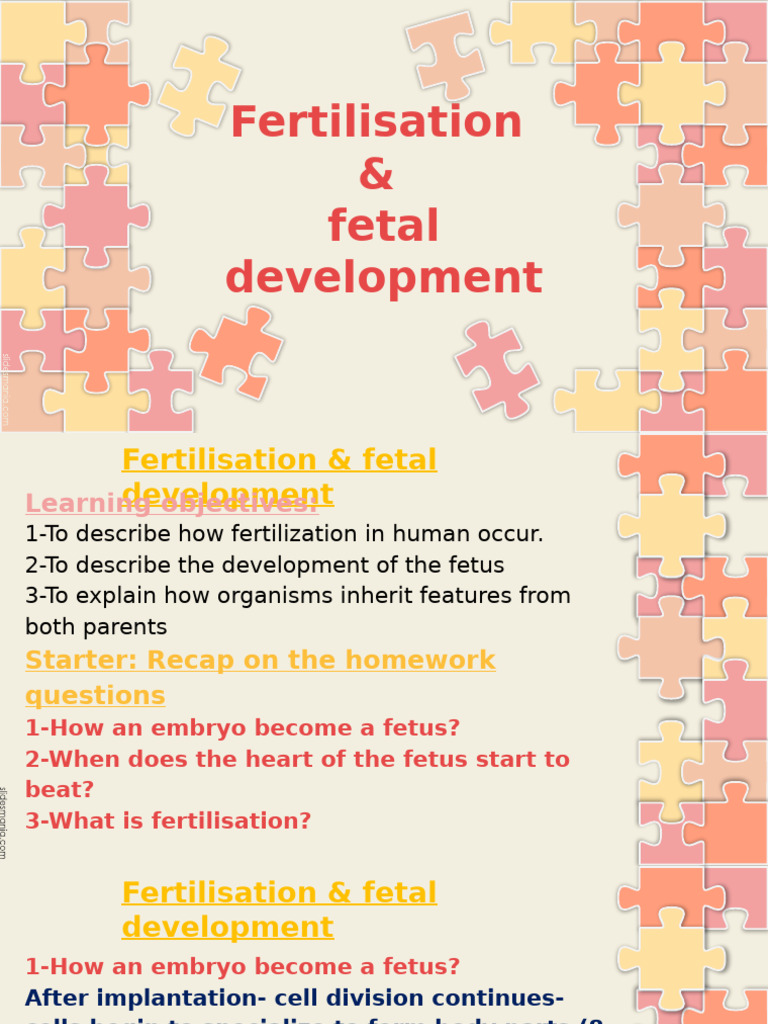 Understanding Fertilization and Fetal Growth | PDF | Fertilisation ...