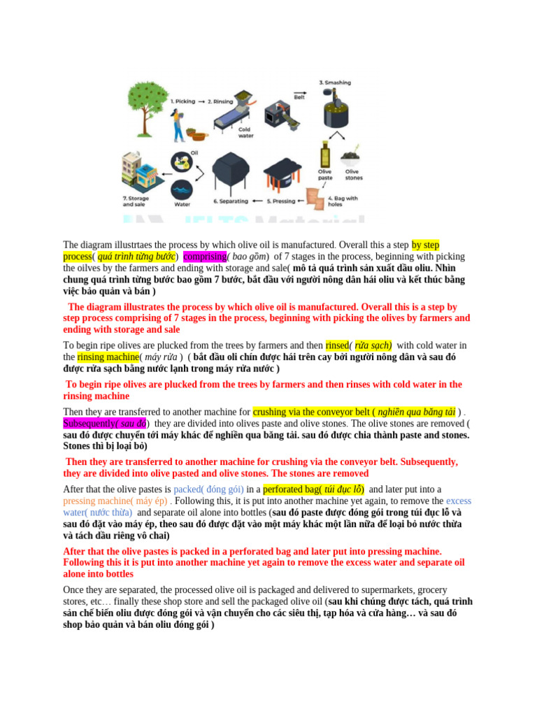 Olive Oil Production Process Explained | PDF | Natural Products ...