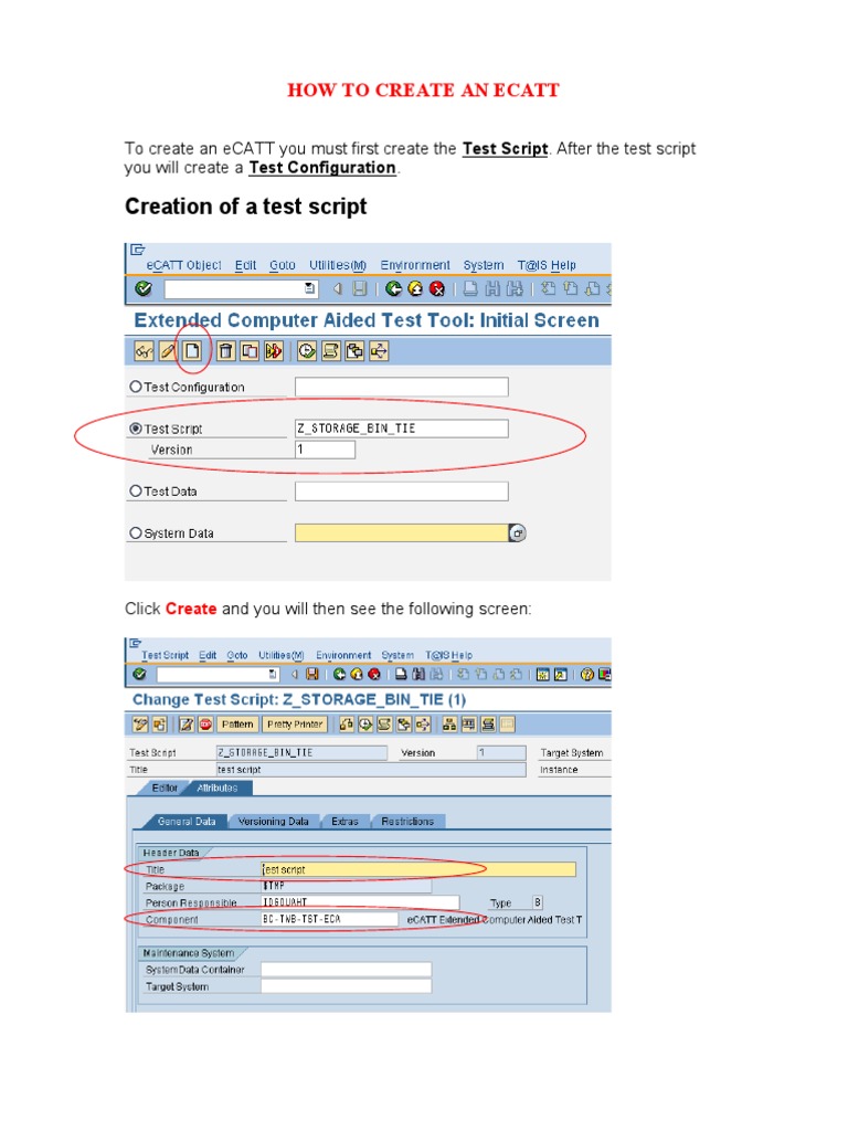 Creating eCATT Test Scripts in SAP | PDF | Icon (Computing) | System ...