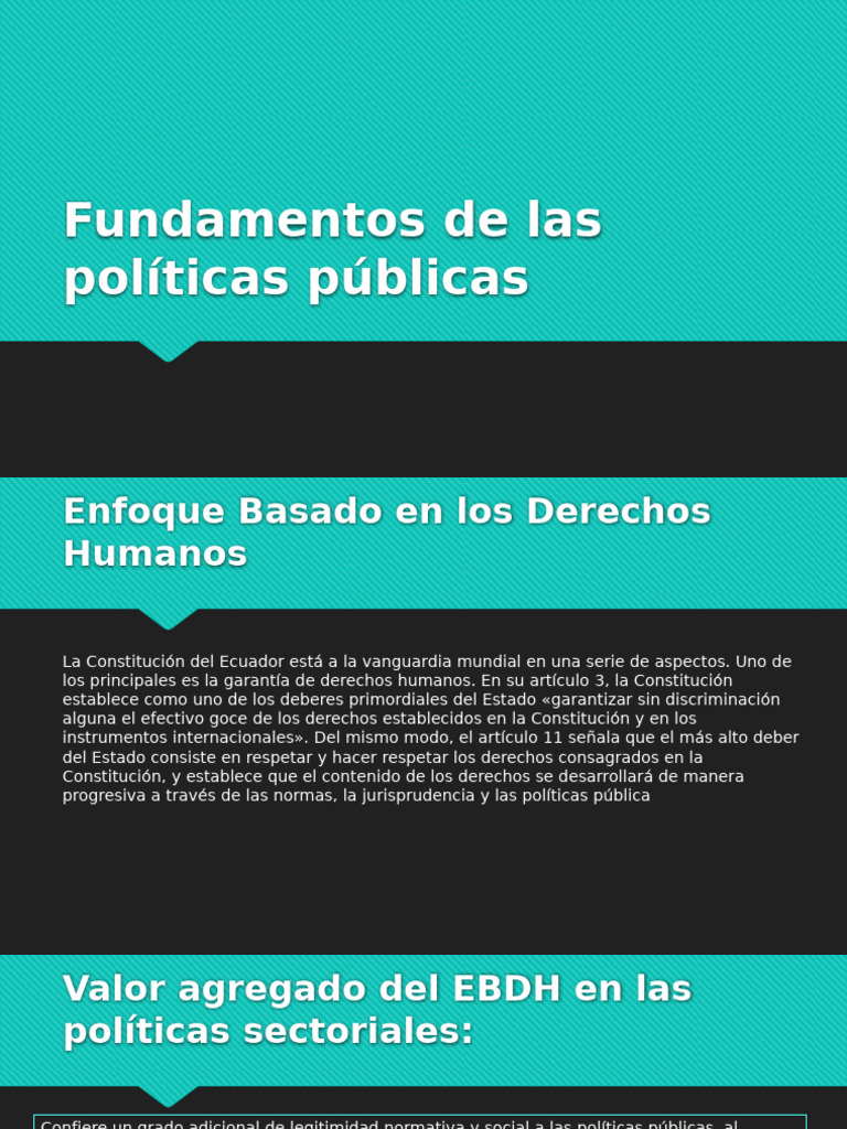 Fundamentos de Las Políticas Públicas | PDF | Derechos humanos | Derechos