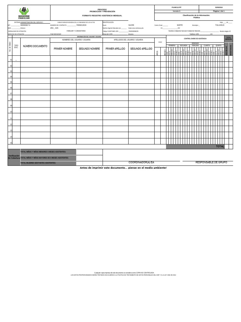 Formato Ram v5 6.06.2018 | PDF
