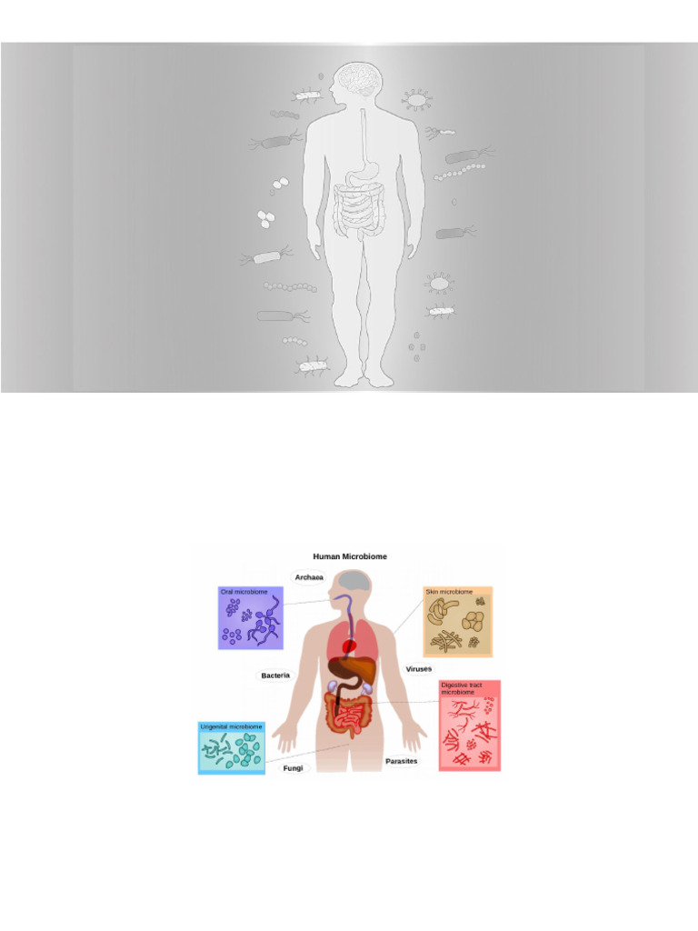 Human Microbial Flora Overview | PDF | Microbiota | Gastrointestinal Tract
